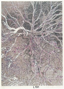 Image description is not available for 2024.038